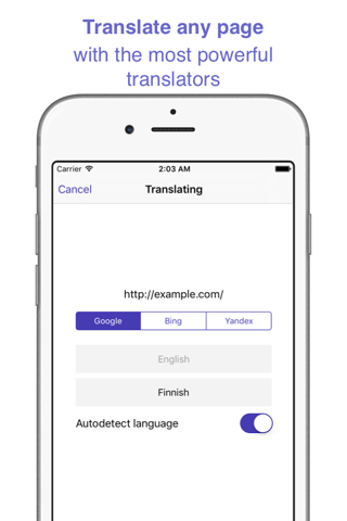 ReTranslator - translating web pages and extension for Safari screenshot 2