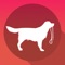 Dog Walking is the tracking app for the activities that you can do together with your dog