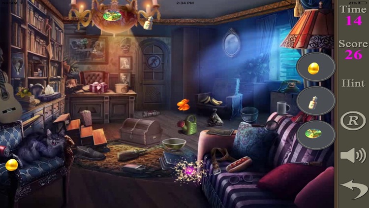 Hidden Objects Of A House Of Thieves screenshot-4