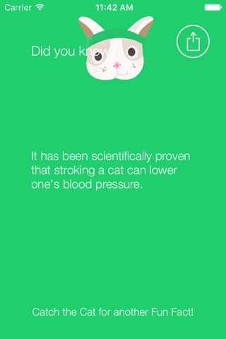 Cat Runner Facts screenshot 3