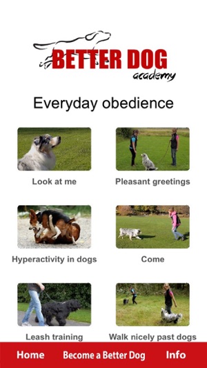 Better Dog Academy(圖4)-速報App