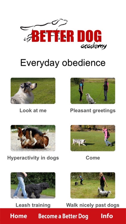 Better Dog Academy screenshot-3