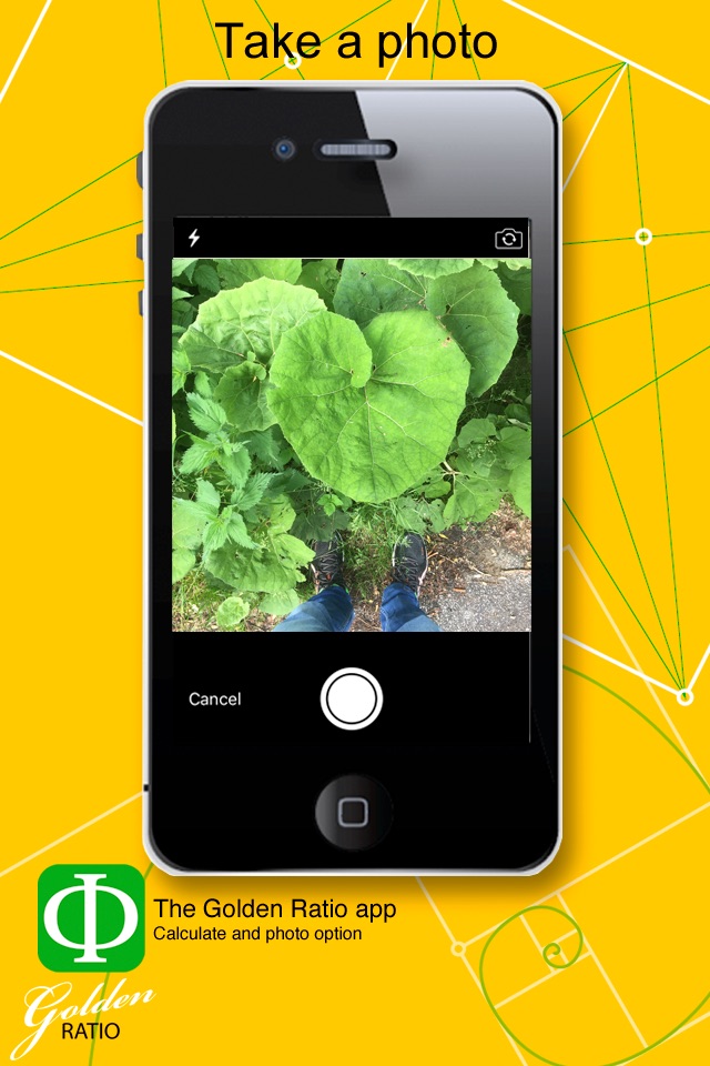 Golden Ratio calculate and photo screenshot 2