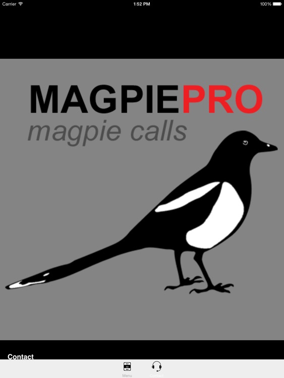 REAL Magpie Hunting Calls - REAL Magpie CALLS and Magpie Sounds! screenshot-3