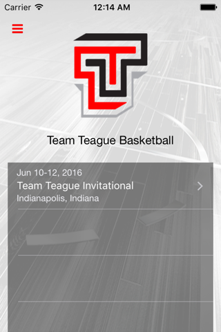 Team Teague Basketball - náhled