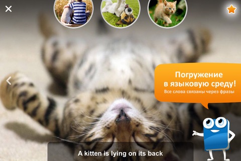 ZOO Vocaboo English for kids screenshot 3