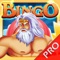 Jupiter Partyland and Board Bingo Bash - Live Cheeky Bingo Rush Featuring Blackkout Pro