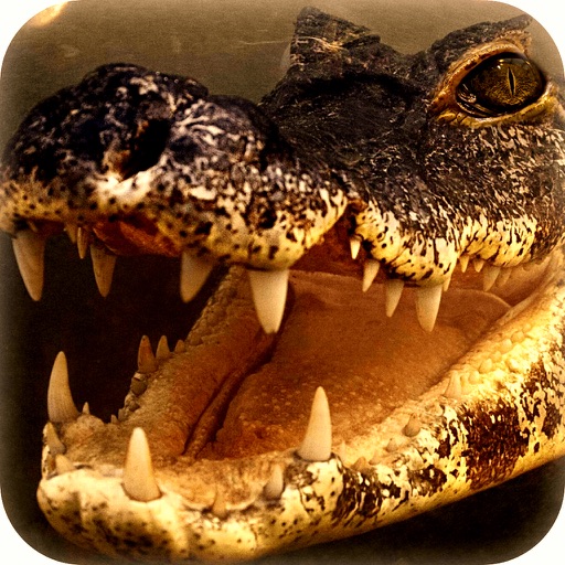2016 Angry Alligator Revenge Hunting Park icon