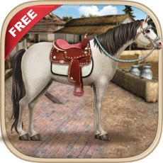 Activities of Horse Care Time Game