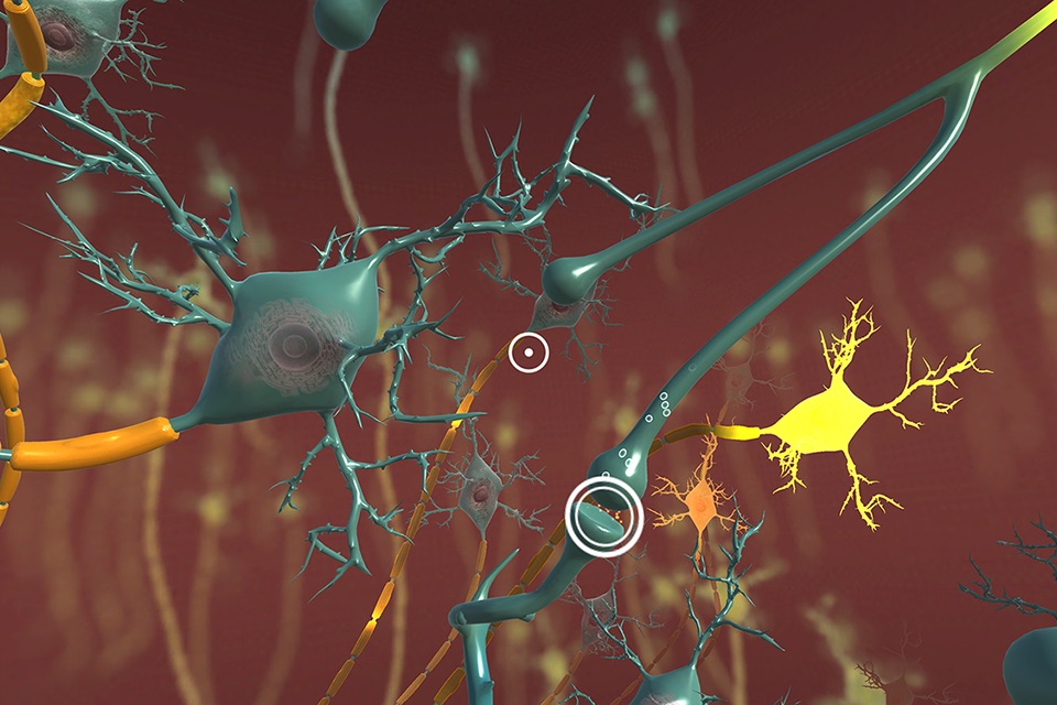 INVIVO Bloodstream Explorer VR screenshot 4