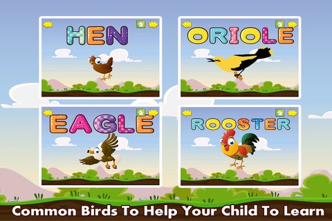 Spell & Learn Birds screenshot 2
