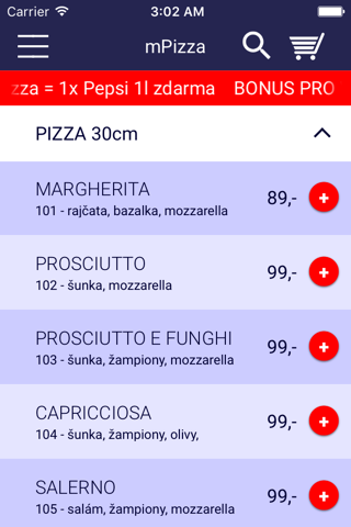 Pizza Express Trutnov - Albert screenshot 3