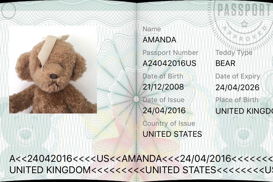 Teddy Bear Passport / Travel Photo Card ID Maker with Travel Stamps screenshot 3