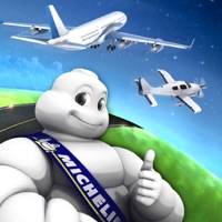 Michelin Aircraft Tire  PC 용