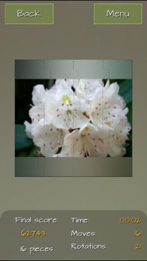 Medicinal Plants Puzzle Deluxe(圖5)-速報App