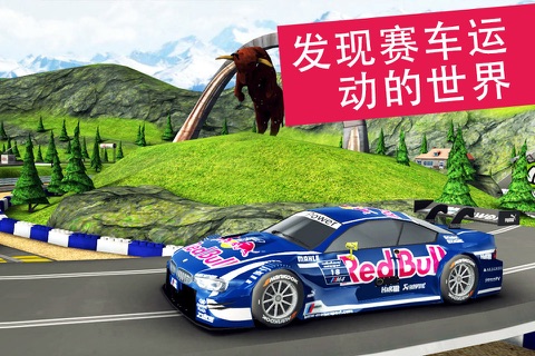 Red Bull Racers screenshot 4