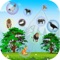 Want to learn some names and voice of different birds