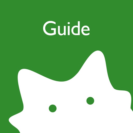 Guide for Ameba