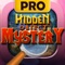 Hidden Object Mystery Pro