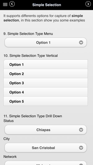 KPI Forms V6(圖3)-速報App