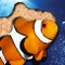 Sealife Photo Jigsaw Puzzle