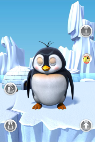 Talking Gwen the Penguin Lite screenshot 3