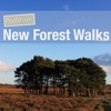 New Forest Walks