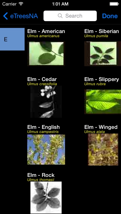 Trees, Shrubs and Vines of North America - eTreesNA - A Tree App screenshot-1