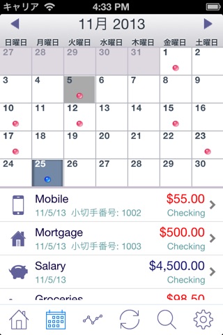 iAccount Pro - Checkbook, Spending, Income and Accounts Tracker screenshot 4