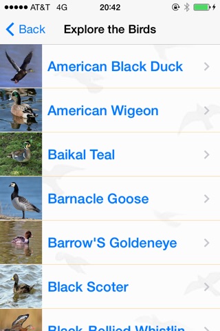 Bird Watching Guide & Identification screenshot 2