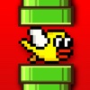 Smash Flappy - Squishy Bird Crush