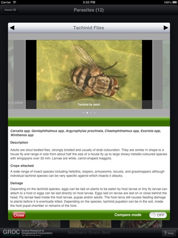 Insect ID: the Ute Guide tablet edition screenshot 4