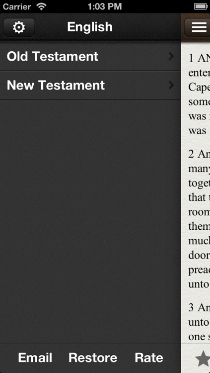 Holy Bible: 27 Languages Side by Side! screenshot-3