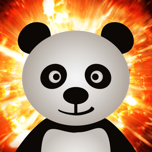 Action Panda - Attack of the Killer Meteors iOS App