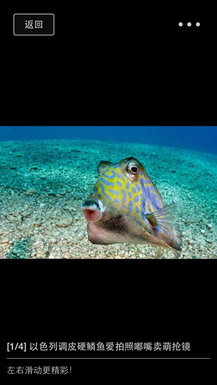 图闻精选 screenshot-3