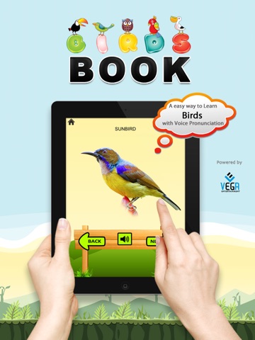 Bird Book screenshot 3