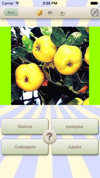 Vitamin C Quiz : Guess Game for Vitamins Fruit and Vegetable Healthy Living