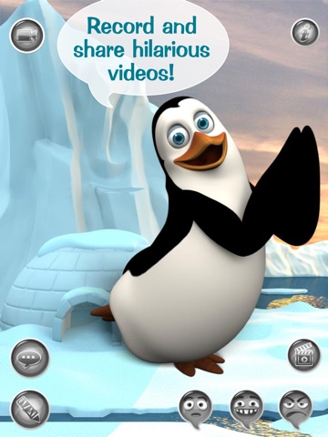Hi, Talky Pat! HD FREE - The Talking Penguin: Text, Talk And Play With A Funny Animal Friend screenshot 3