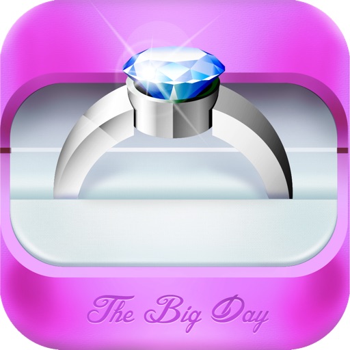 THE BIG DAY:PERSONAL WEDDING PLANNER icon