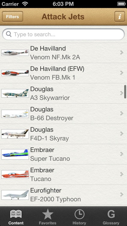 Attack and Interceptor Jets
