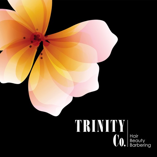 Trinity Co. icon