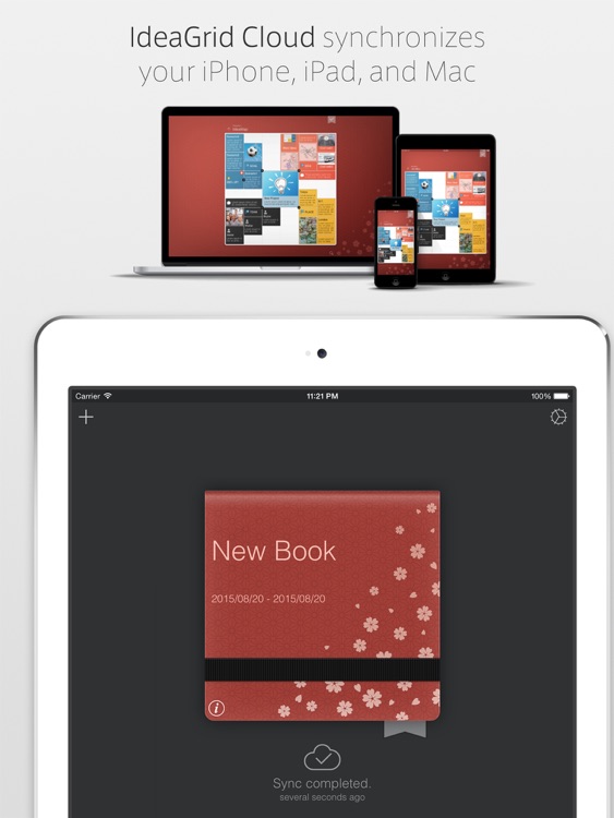 IdeaGrid for iPad screenshot-3