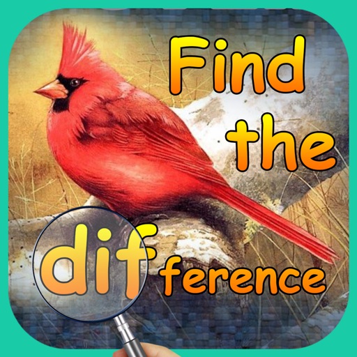 Birds Spot The Differences Icon