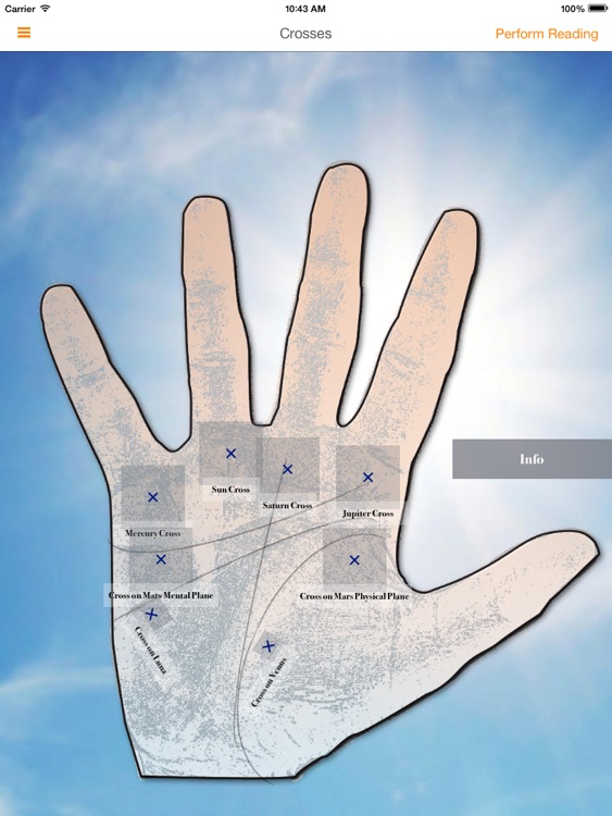 ThePalmist