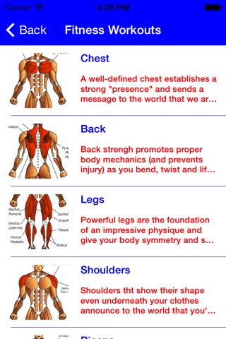 Maximum Muscle Workout Pro screenshot 2