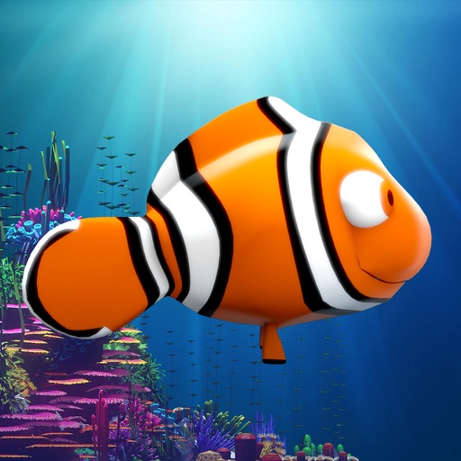 Splashy Oscar – the little clownfish