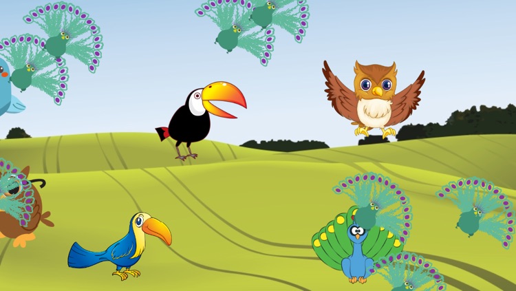 Flying Birds Match Games for Toddlers and Kids : discover the bird species ! FREE app screenshot-3