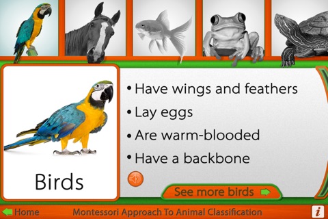 Montessori Approach to Zoology - The Animal Kingdom (Vertebrates) screenshot 2
