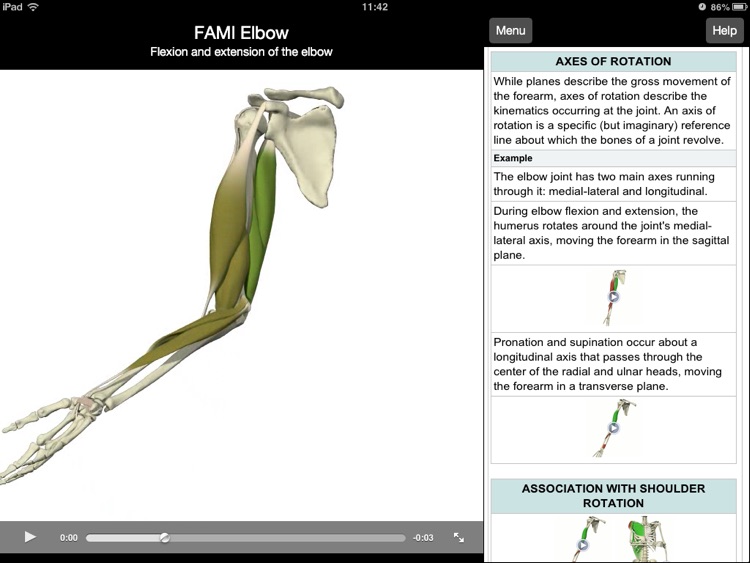 Functional Anatomy for Movement and Injuries: Elbow screenshot-4