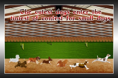 Small Dog Beauty and Agility Contest : The cutest animal race - Free Edition screenshot 2